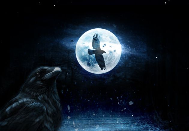 Crow by dark1crow zps02567627original