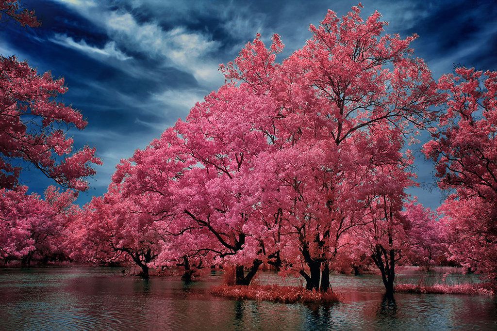 ascending by helios spada d7wfnvo zpsefc4666coriginal