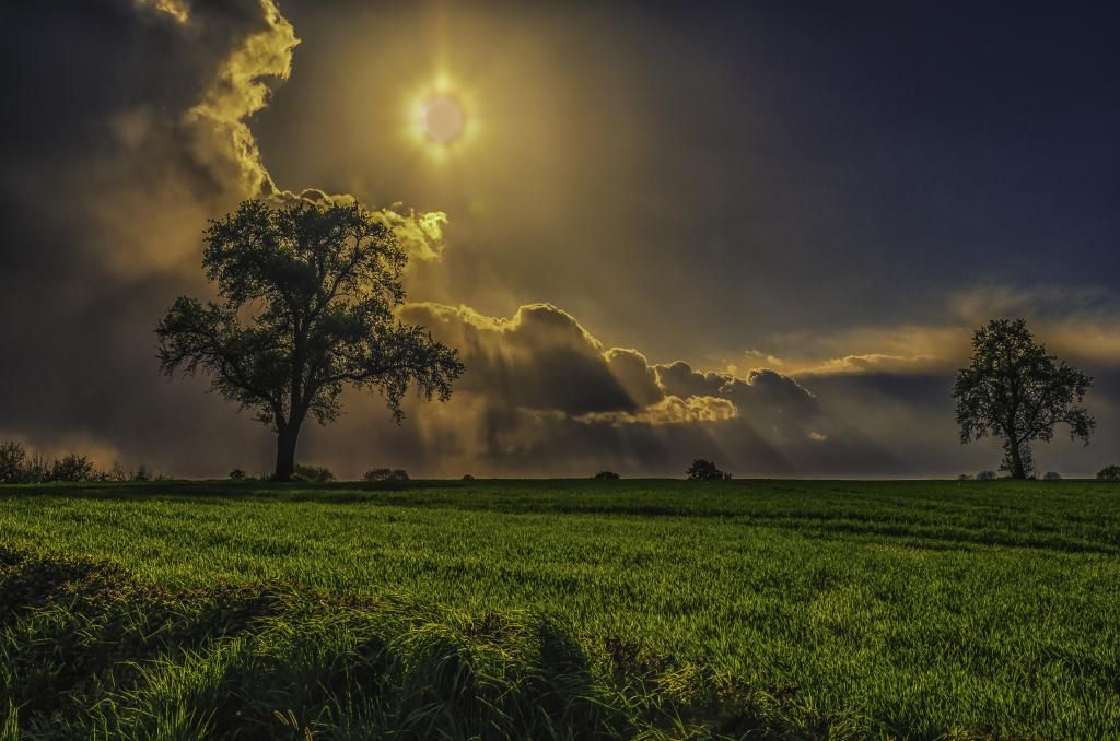 e8138d1323f58608aa52fc9cbd2e4299 d7isny1 zpsac7c3f73original