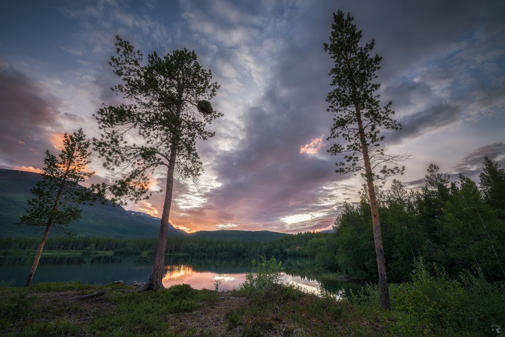 fbeb498d9bdccd5920bf3b1c31a3fd36 d7w1cni zps1036bf2boriginal