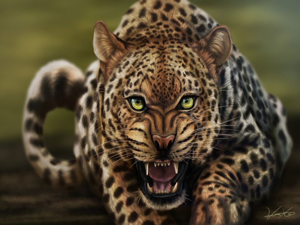 leopard by goldenphoenix100 d5sgb71 zps3f2b018foriginal