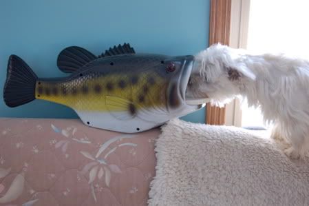 How Important Is Fishing to You? - The Great Outdoors