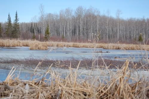 Let's see some pictures of your place... - Homesteading Questions