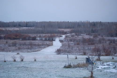 Official Snow Post. - Homesteading Questions