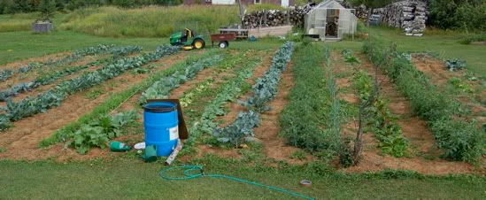 Let's see some pictures of your place... - Homesteading Questions