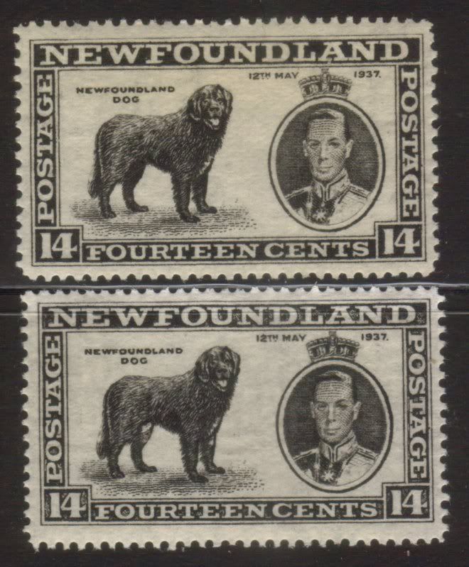 Image result for 1937 long coronation issue male dog variety