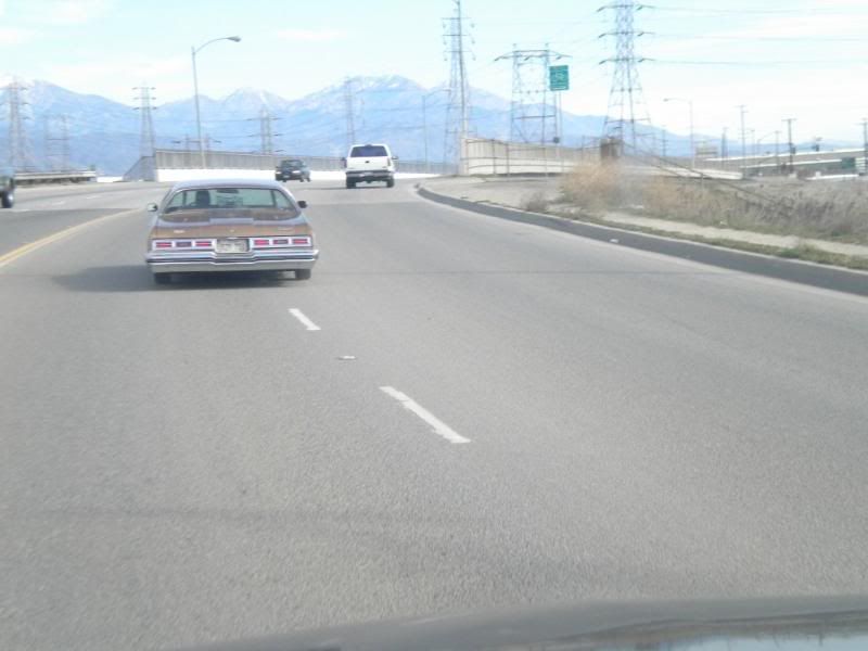 GLASSHOUSE FEST Page 1360 Lowrider Forums