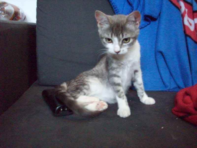 011-7.jpg