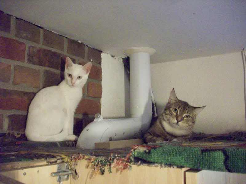 012-5.jpg