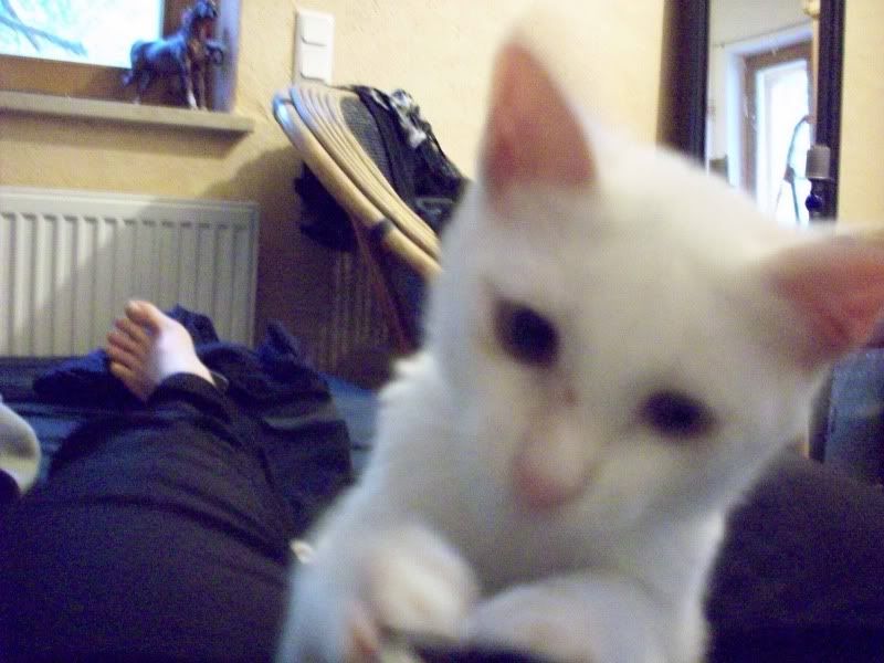 065.jpg