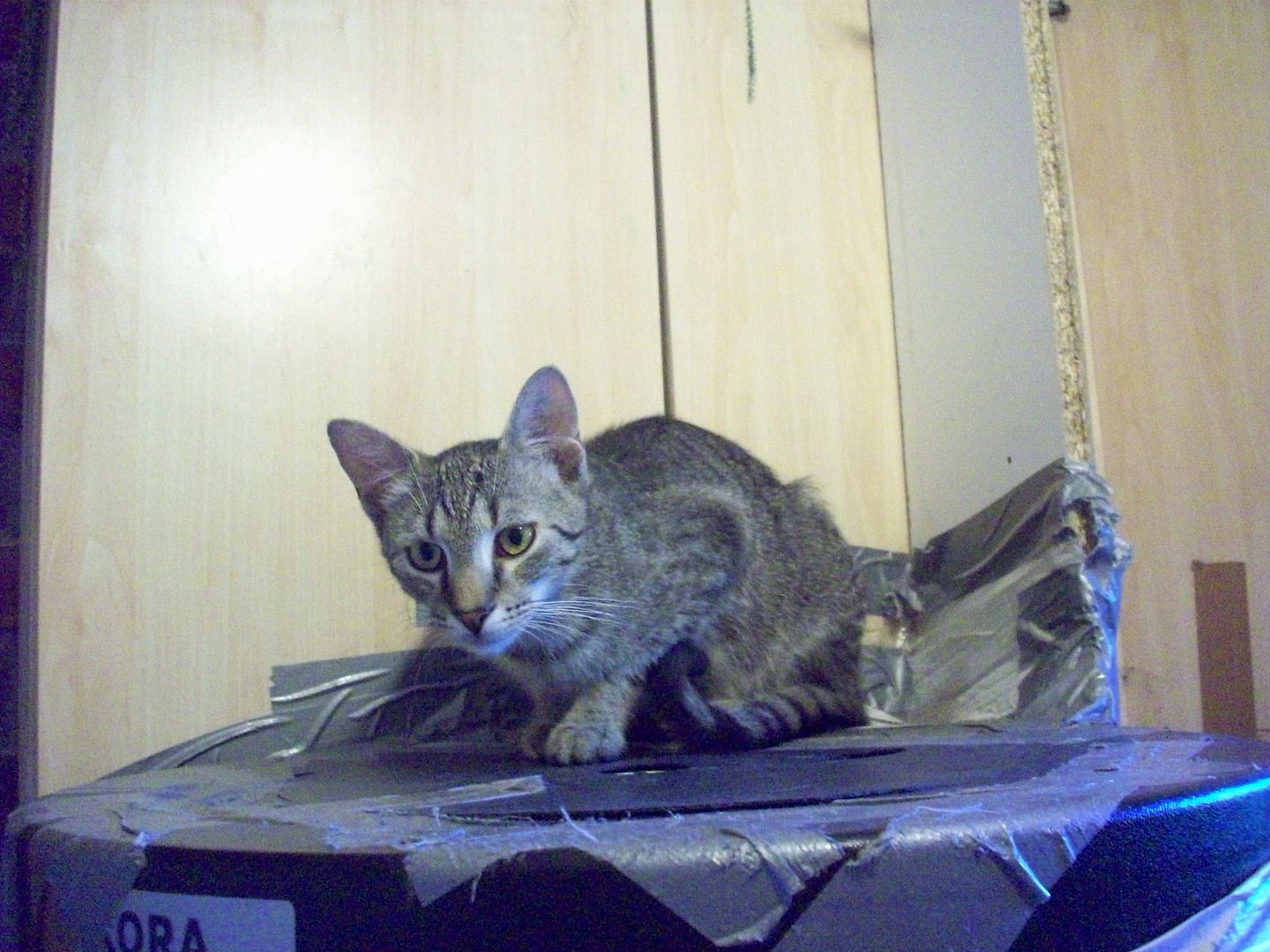 100_zps456687c8.jpg