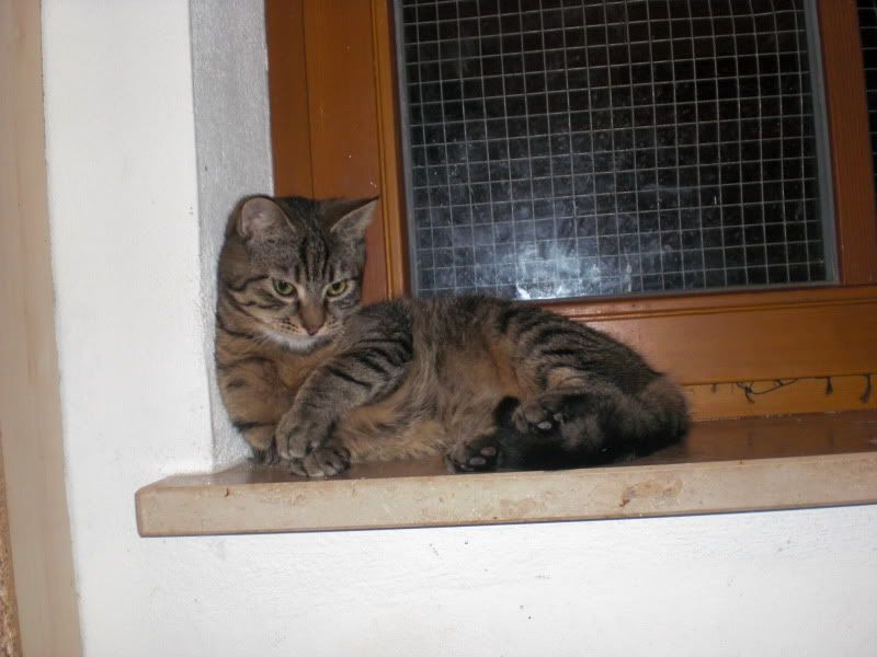 PICT0003-22.jpg