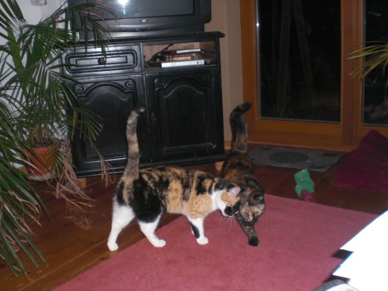 PICT0007-54.jpg