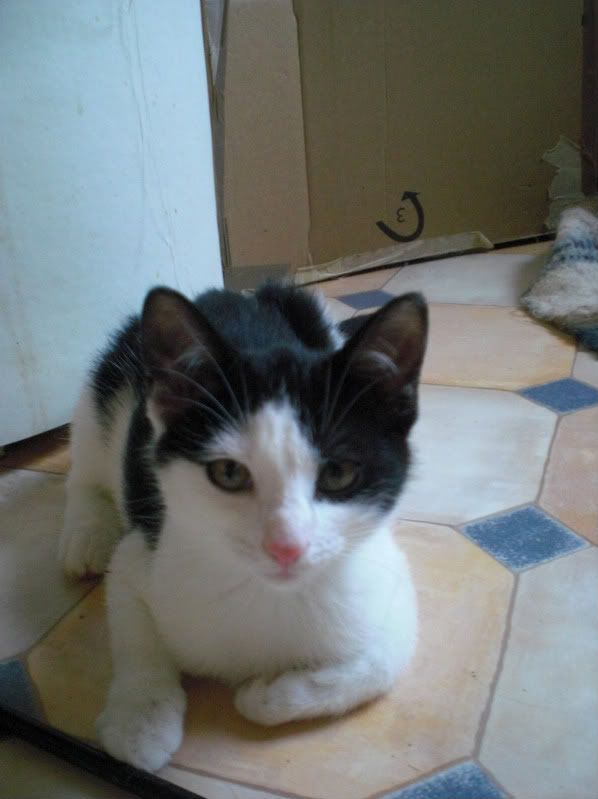 PICT0125.jpg