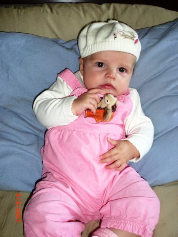 Photo Sharing and Video Hosting at Photobucket