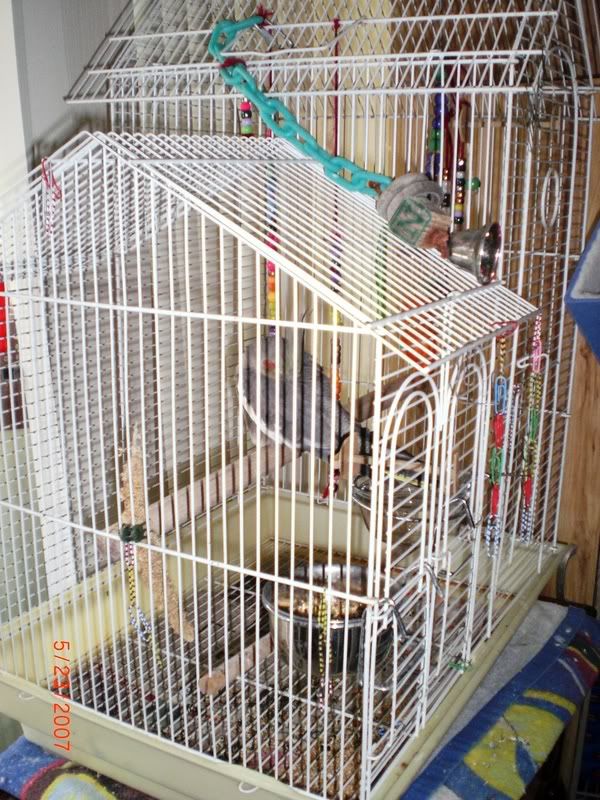 Photo Sharing and Video Hosting at Photobucket