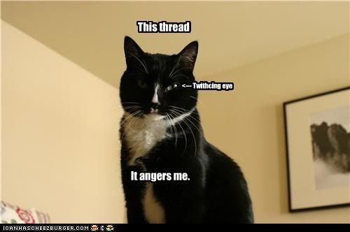 angry cat photo: Angry Thread Cat fd561c1d-d4e2-4af9-b036-455ecefbc120.jpg