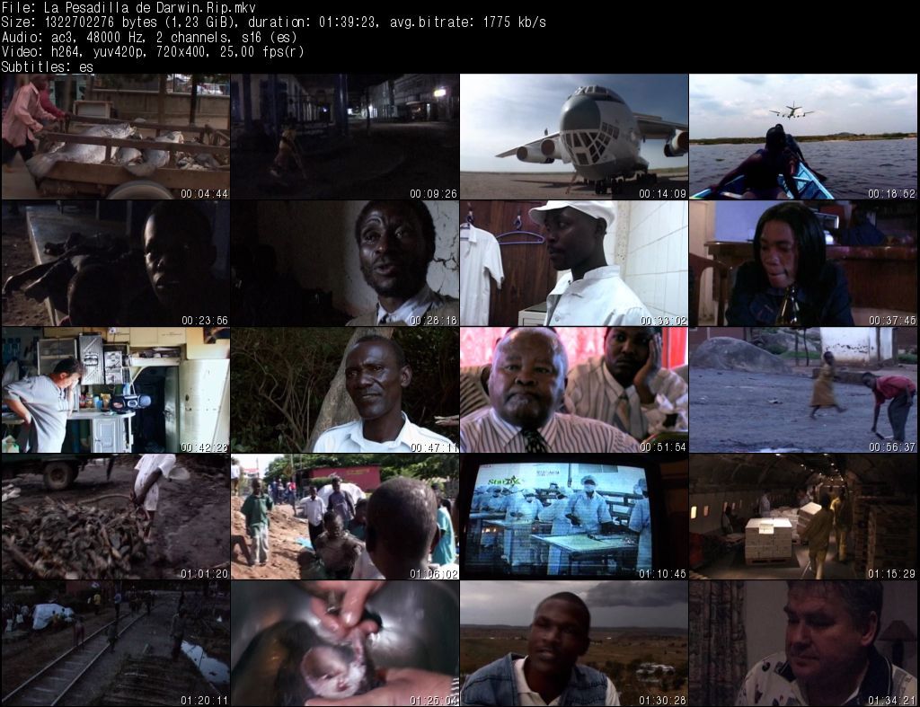 La20Pesadilla20de20DarwinRip zpsotayjrtm - La Pesadilla de Darwin (2004) [DVDRip MKV H264] [AC3 ES Subt. ES] [VS]
