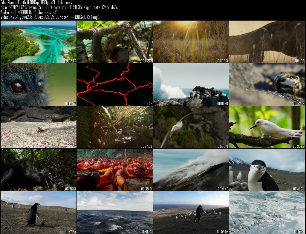 Planet20Earth20II20BDRip201080p201x0120 20Islas zpsi3q7lah9 - Planeta Tierra II  2D/3D HOU [BBC EARTH] (2016) [BDRip 1080p MKV H264] [ACE 5.1 CAST Subt. ES] [6/6] [VS]