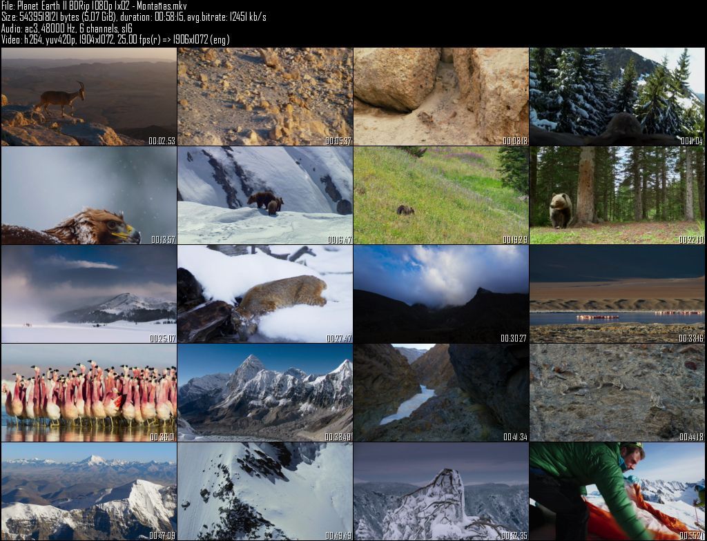 Planet20Earth20II20BDRip201080p201x0220 20Montantildeas zpsggblybbv - Planeta Tierra II  2D/3D HOU [BBC EARTH] (2016) [BDRip 1080p MKV H264] [ACE 5.1 CAST Subt. ES] [6/6] [VS]