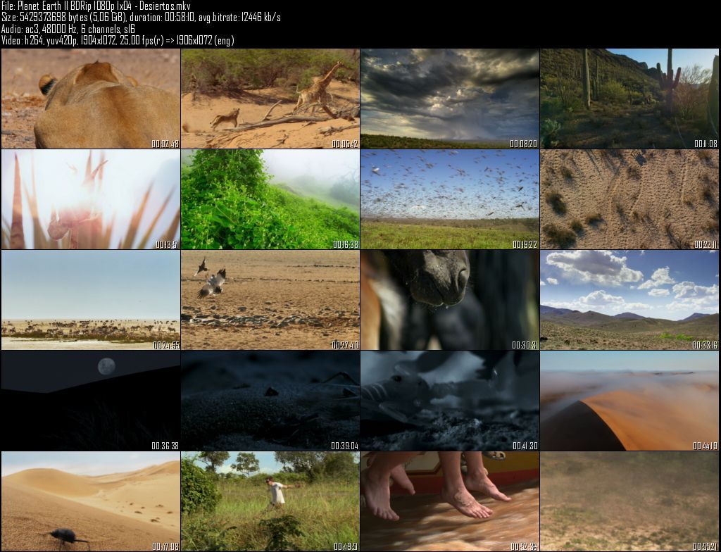 Planet20Earth20II20BDRip201080p201x0420 20Desiertos zps2ocrrbyq - Planeta Tierra II  2D/3D HOU [BBC EARTH] (2016) [BDRip 1080p MKV H264] [ACE 5.1 CAST Subt. ES] [6/6] [VS]