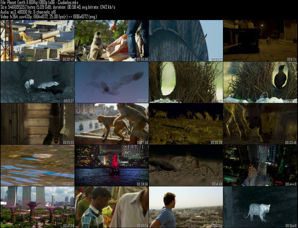 Planet20Earth20II20BDRip201080p201x0620 20Ciudades zpsipwngvrh - Planeta Tierra II  2D/3D HOU [BBC EARTH] (2016) [BDRip 1080p MKV H264] [ACE 5.1 CAST Subt. ES] [6/6] [VS]