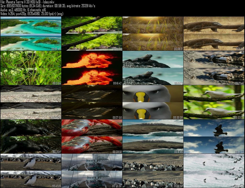 Planeta20Tierra20II203D20HOU201x0120 20Islas zpsy0zkwl7x - Planeta Tierra II  2D/3D HOU [BBC EARTH] (2016) [BDRip 1080p MKV H264] [ACE 5.1 CAST Subt. ES] [6/6] [VS]