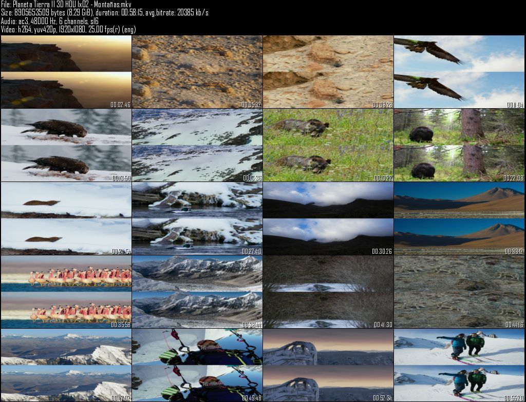 Planeta20Tierra20II203D20HOU201x0220 20Montantildeas zpsfeigiaxt - Planeta Tierra II  2D/3D HOU [BBC EARTH] (2016) [BDRip 1080p MKV H264] [ACE 5.1 CAST Subt. ES] [6/6] [VS]