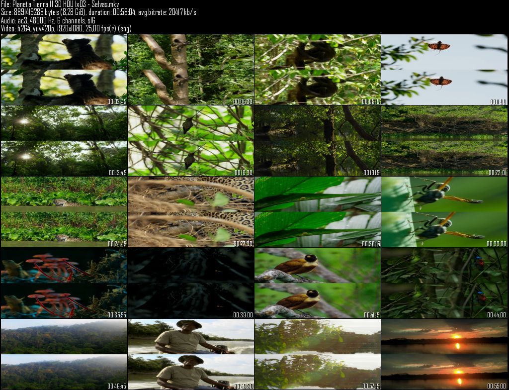 Planeta20Tierra20II203D20HOU201x0320 20Selvas zpszcuqjvx3 - Planeta Tierra II  2D/3D HOU [BBC EARTH] (2016) [BDRip 1080p MKV H264] [ACE 5.1 CAST Subt. ES] [6/6] [VS]