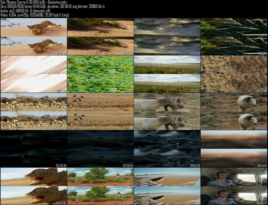 Planeta20Tierra20II203D20HOU201x0420 20Desiertos zpsovvmnmi7 - Planeta Tierra II  2D/3D HOU [BBC EARTH] (2016) [BDRip 1080p MKV H264] [ACE 5.1 CAST Subt. ES] [6/6] [VS]