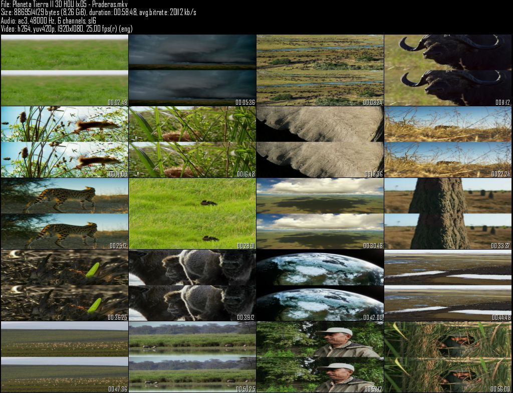 Planeta20Tierra20II203D20HOU201x0520 20Praderas zpsg3y7yuno - Planeta Tierra II  2D/3D HOU [BBC EARTH] (2016) [BDRip 1080p MKV H264] [ACE 5.1 CAST Subt. ES] [6/6] [VS]