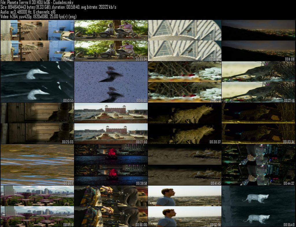Planeta20Tierra20II203D20HOU201x0620 20Ciudades zpsf78slemn - Planeta Tierra II  2D/3D HOU [BBC EARTH] (2016) [BDRip 1080p MKV H264] [ACE 5.1 CAST Subt. ES] [6/6] [VS]