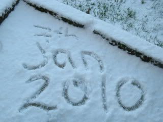 Snow-Feb2009013.jpg