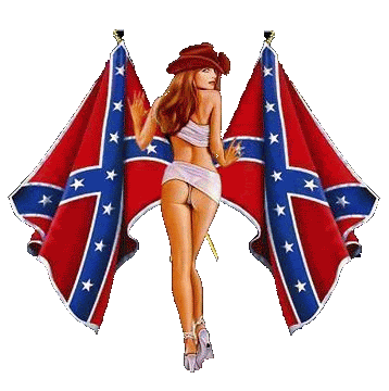 ConfederateFlag1.gif