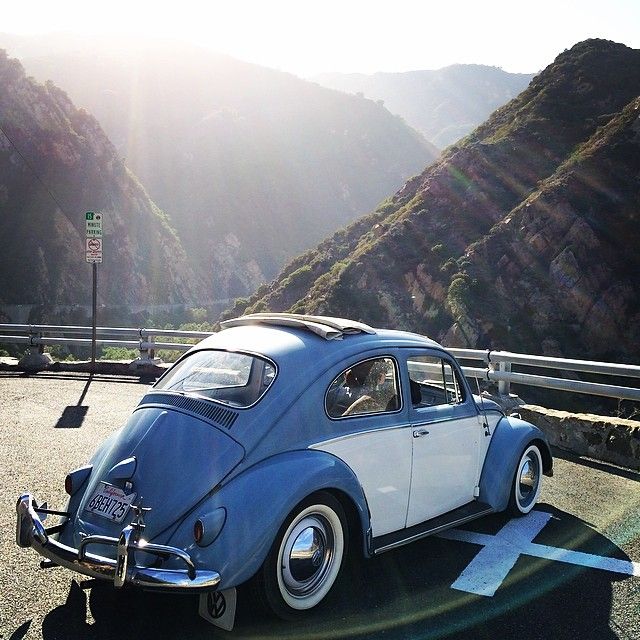 photo davidfloresart-topback_zps9ba3599b.jpg