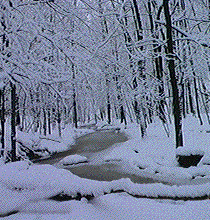 http://i44.photobucket.com/albums/f39/intothedeep/forest.gif
