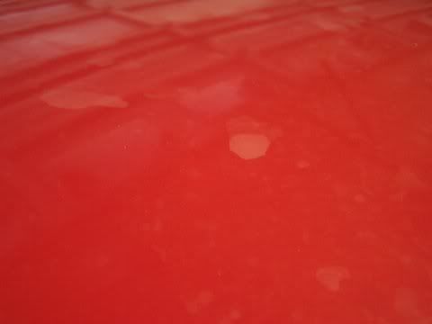100_0407.jpg