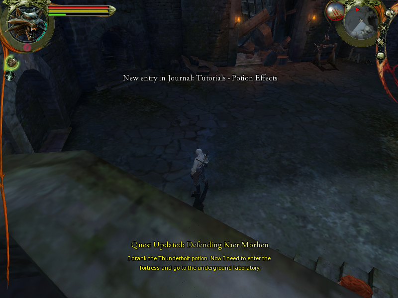 witcher2014-12-2512-16-20-95_zps65c49b0c.png