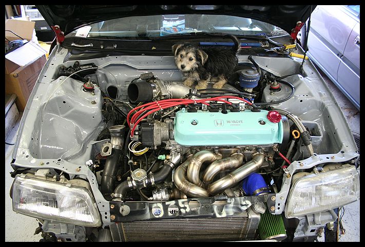 f22b turbo