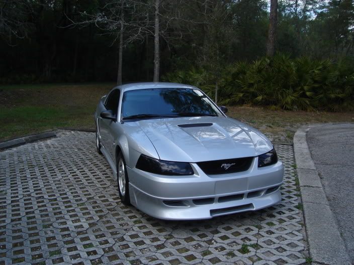 3-12-2006040.jpg