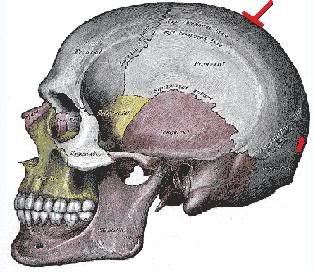 IPB Image