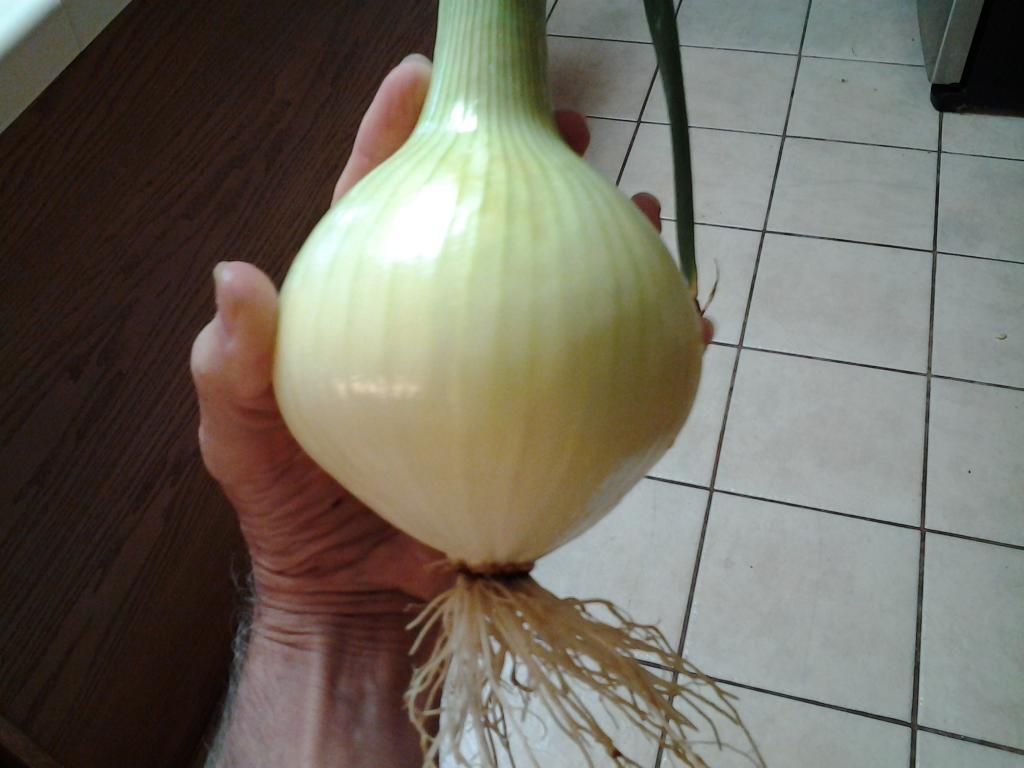  photo 20140815_195004_zps86bb7394.jpg