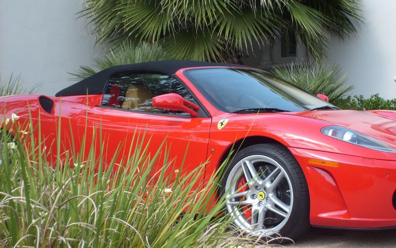 F430OptCoat.jpg