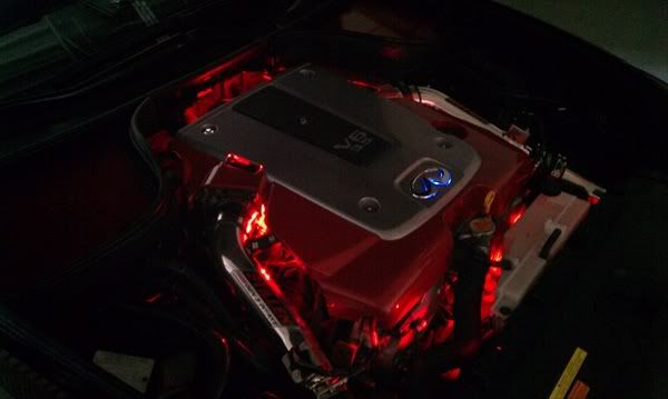 G35EngPaint.jpg