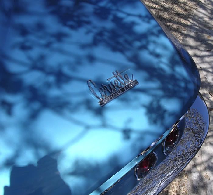 Stingray.jpg