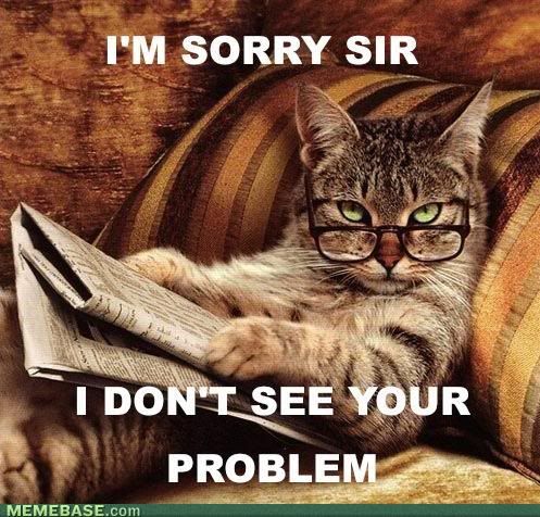 memes_smart_ass_cat_i_dont_see_your_problem_Memebase_70-s497x476-207124-580.jpg