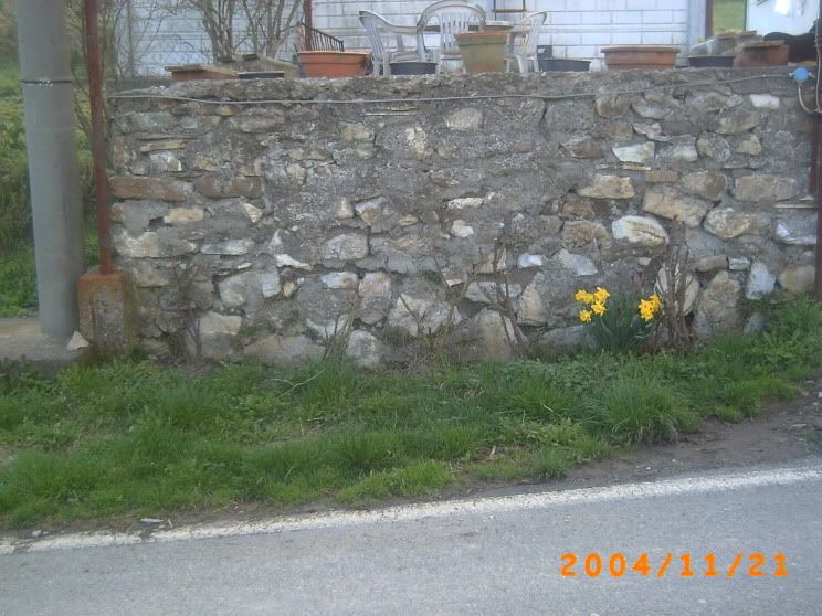 Aiuolapiccoladallastrada.jpg