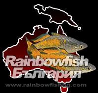 Rainbowfish-България