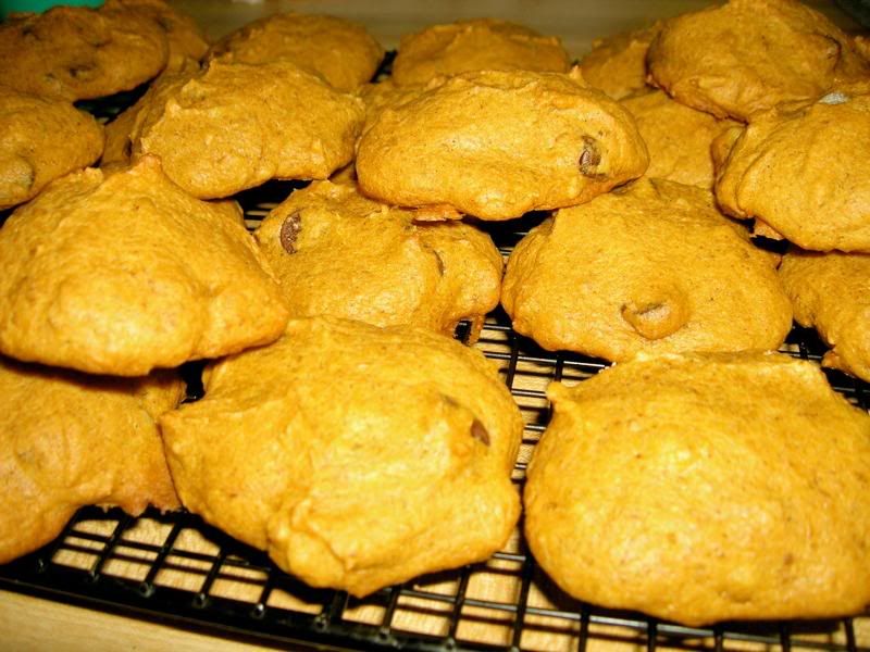 Chocolate Chip Pumpkin Cookies Pictures, Images and Photos