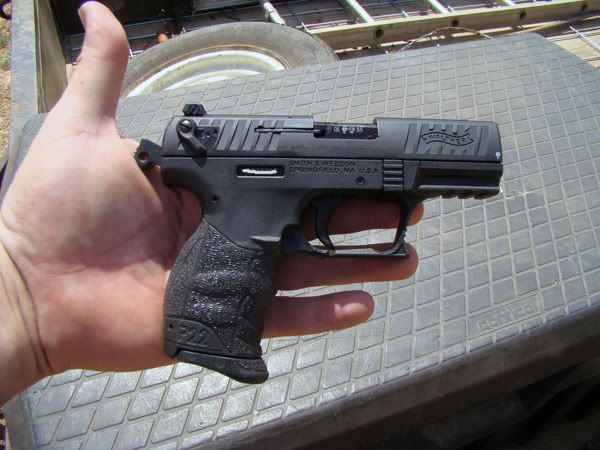 walther1.jpg